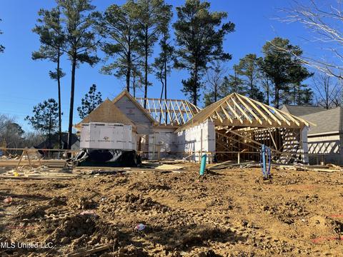 461 Silver Hl, Pearl, MS 39208 photo 1
