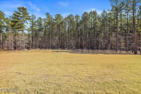 509 Durango Dr, Brandon, MS 39047 photo 63