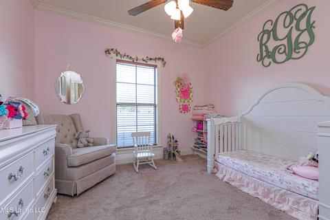 217 Rockbridge Dr, Madison, MS 39110 photo 23
