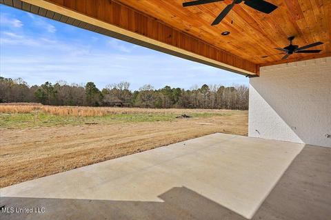 166 Harrell Rd, Pelahatchie, MS 39145 photo 45