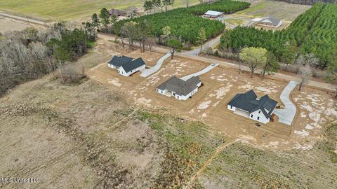 166 Harrell Rd, Pelahatchie, MS 39145 photo 47