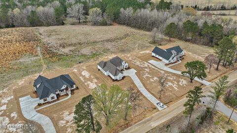 166 Harrell Rd, Pelahatchie, MS 39145 photo 46