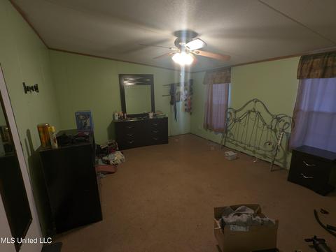2162 Caney Creek Rd, Conehatta, MS 39057 photo 2