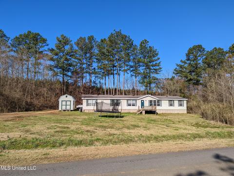 2162 Caney Creek Rd, Conehatta, MS 39057 photo 11