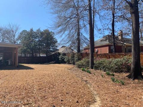 111 Over Look Dr, Brandon, MS 39042 photo 62