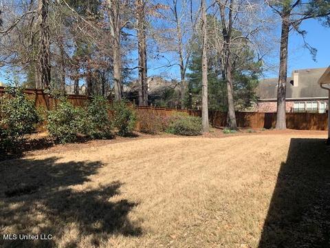 111 Over Look Dr, Brandon, MS 39042 photo 58
