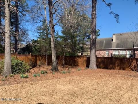 111 Over Look Dr, Brandon, MS 39042 photo 53