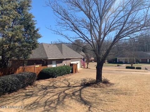 111 Over Look Dr, Brandon, MS 39042 photo 11