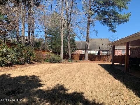 111 Over Look Dr, Brandon, MS 39042 photo 59
