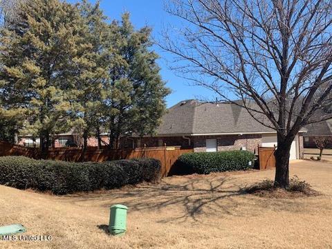 111 Over Look Dr, Brandon, MS 39042 photo 10