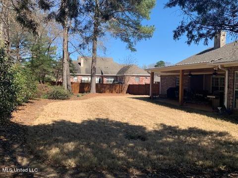 111 Over Look Dr, Brandon, MS 39042 photo 63