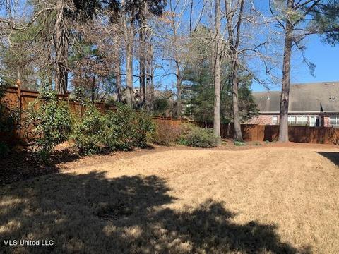 111 Over Look Dr, Brandon, MS 39042 photo 61