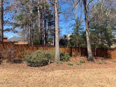 111 Over Look Dr, Brandon, MS 39042 photo 54