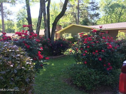 367 Sheppard Rd, Jackson, MS 39206 photo 35