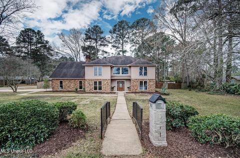302 Audubon Point Dr, Brandon, MS 39047 photo 1