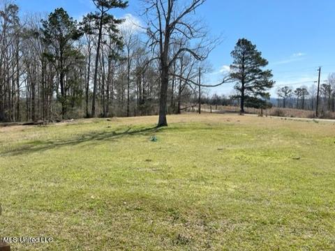 484 Delancy Rd, Braxton, MS 39044 photo 17