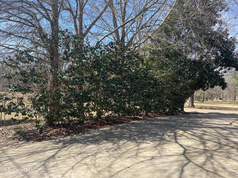 72 Overby Road Rd, Benton, MS 39039 photo 21