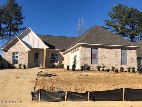 123 Herons Bay Cir, Madison, MS 39110 photo 1