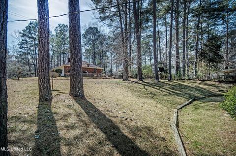 203 Holly Hill Dr, Jackson, MS 39212 photo 7