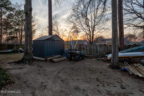 230 Williams Cir, Flowood, MS 39232 photo 27