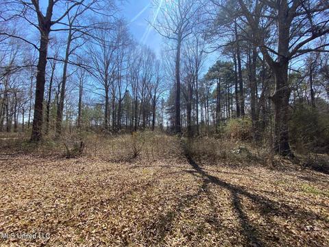120 Pine Grove Dr, Florence, MS 39073 photo 32