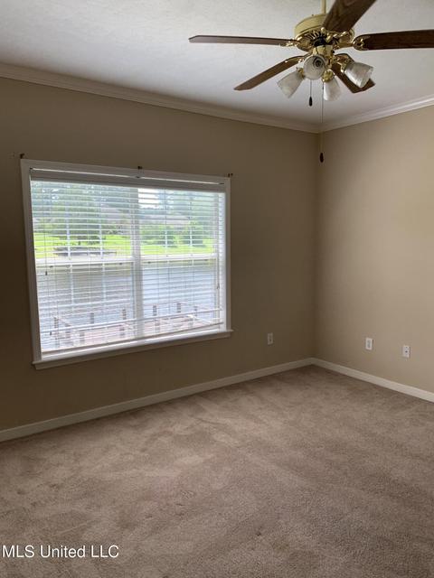 708 Meadow View Cv, Byram, MS 39272 photo 13
