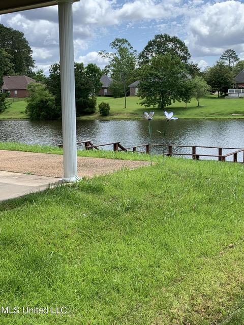 708 Meadow View Cv, Byram, MS 39272 photo 18