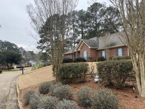 907 Treeline Dr, Brandon, MS 39042 photo 3