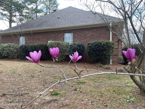 907 Treeline Dr, Brandon, MS 39042 photo 31