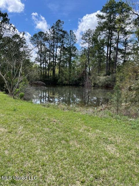 22060 Saucier Lizana Rd, Saucier, MS 39574 photo 13