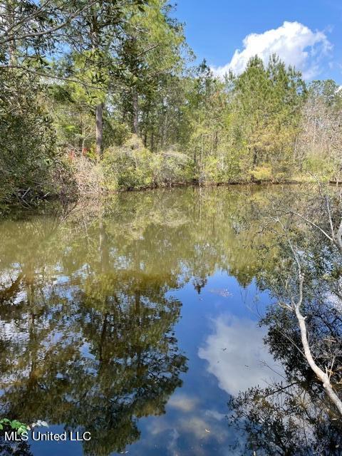 22060 Saucier Lizana Rd, Saucier, MS 39574 photo 14