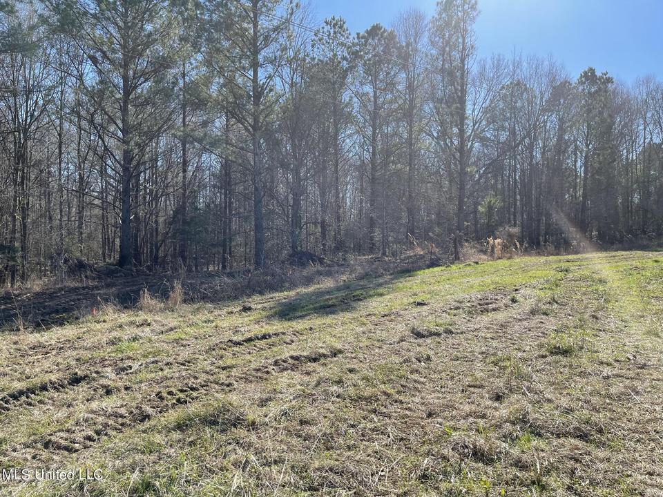 Ms18, Raymond, MS 39154 17 Photos MLS 4011062 Movoto