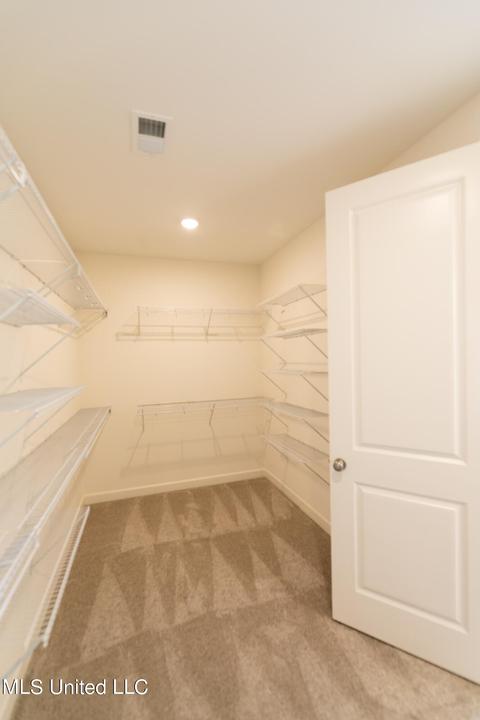 770 Arrow Cv, Olive Branch, MS 38654 photo 12