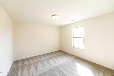 770 Arrow Cv, Olive Branch, MS 38654 photo 18