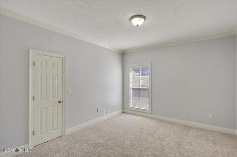 217 Kingsbridge Rd, Madison, MS 39110 photo 28