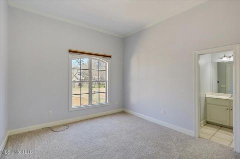 217 Kingsbridge Rd, Madison, MS 39110 photo 26