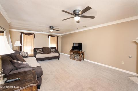 3423 Clepsyda Dr, Hernando, MS 38632 photo 7