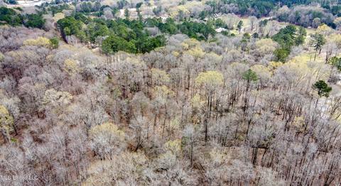 535 Hwy 49, Flora, MS 39071 photo 49