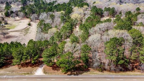 535 Hwy 49, Flora, MS 39071 photo 50