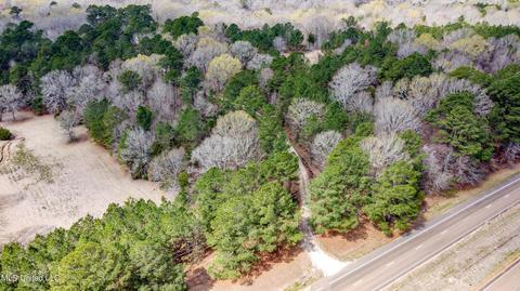 535 Hwy 49, Flora, MS 39071 photo 48