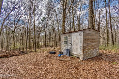 535 Hwy 49, Flora, MS 39071 photo 44