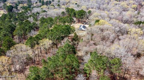 535 Hwy 49, Flora, MS 39071 photo 51