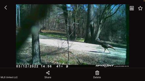 535 Hwy 49, Flora, MS 39071 photo 53