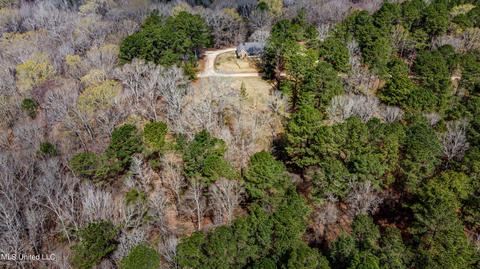 535 Hwy 49, Flora, MS 39071 photo 46