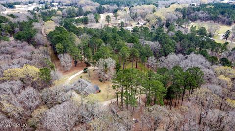 535 Hwy 49, Flora, MS 39071 photo 47