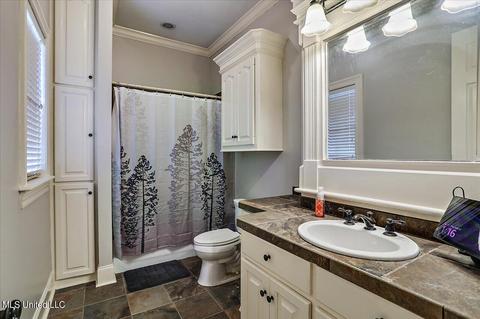 207 Grace Cv, Brandon, MS 39042 photo 36