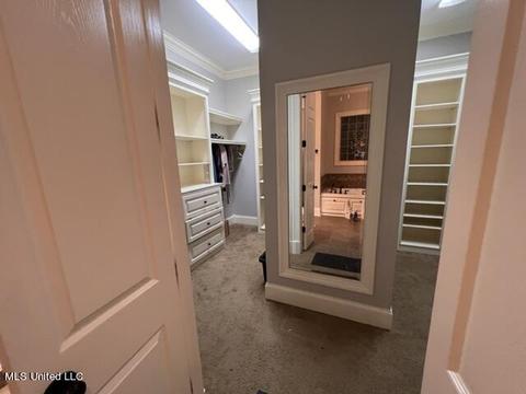 207 Grace Cv, Brandon, MS 39042 photo 59