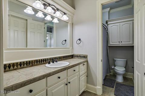 207 Grace Cv, Brandon, MS 39042 photo 38