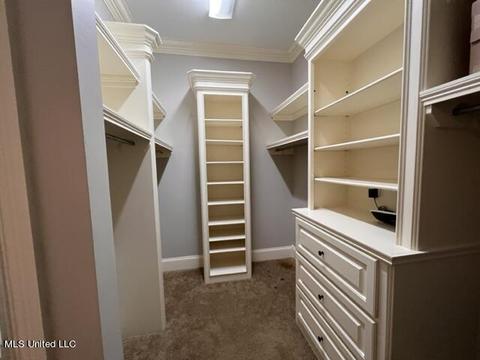 207 Grace Cv, Brandon, MS 39042 photo 61