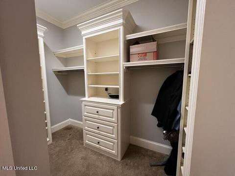 207 Grace Cv, Brandon, MS 39042 photo 62